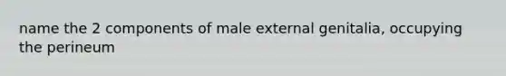 name the 2 components of male external genitalia, occupying the perineum