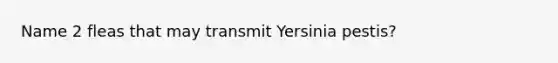 Name 2 fleas that may transmit Yersinia pestis?