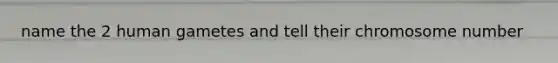 name the 2 human gametes and tell their chromosome number