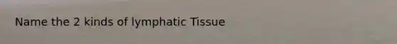 Name the 2 kinds of lymphatic Tissue