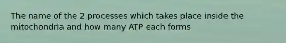 The name of the 2 processes which takes place inside the mitochondria and how many ATP each forms