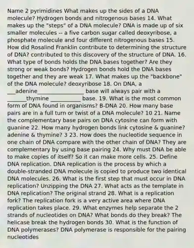 Name 2 pyrimidines What makes up the sides of a DNA molecule? Hydrogen bonds and nitrogenous bases 14. What makes up the "steps" of a DNA molecule? DNA is made up of six smaller molecules -- a five carbon sugar called deoxyribose, a phosphate molecule and four different nitrogenous bases 15. How did Rosalind Franklin contribute to determining the structure of DNA? contributed to this discovery of the structure of DNA. 16. What type of bonds holds the DNA bases together? Are they strong or weak bonds? Hydrogen bonds hold the DNA bases together and they are weak 17. What makes up the "backbone" of the DNA molecule? deoxyribose 18. On DNA, a ___adenine_________________ base will always pair with a _______thymine ___________ base. 19. What is the most common form of DNA found in organisms? B-DNA 20. How many base pairs are in a full turn or twist of a DNA molecule? 10 21. Name the complementary base pairs on DNA cytosine can form with guanine 22. How many hydrogen bonds link cytosine & guanine? adenine & thymine? 3 23. How does the nucleotide sequence in one chain of DNA compare with the other chain of DNA? They are complementary by using base pairing 24. Why must DNA be able to make copies of itself? So it can make more cells. 25. Define DNA replication. DNA replication is the process by which a double-stranded DNA molecule is copied to produce two identical DNA molecules. 26. What is the first step that must occur in DNA replication? Unzipping the DNA 27. What acts as the template in DNA replication? The original strand 28. What is a replication fork? The replication fork is a very active area where DNA replication takes place. 29. What enzymes help separate the 2 strands of nucleotides on DNA? What bonds do they break? The helicase break the hydrogen bonds 30. What is the function of DNA polymerases? DNA polymerase is responsible for the pairing nucleotides