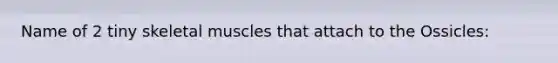 Name of 2 tiny skeletal muscles that attach to the Ossicles: