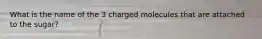 What is the name of the 3 charged molecules that are attached to the sugar?