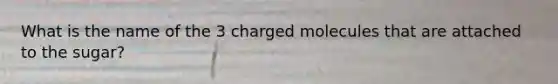 What is the name of the 3 charged molecules that are attached to the sugar?