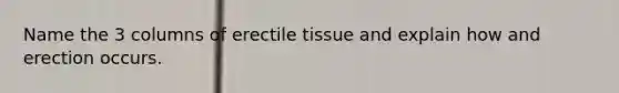 Name the 3 columns of erectile tissue and explain how and erection occurs.