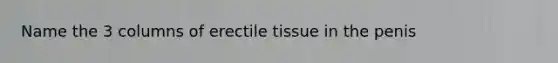 Name the 3 columns of erectile tissue in the penis