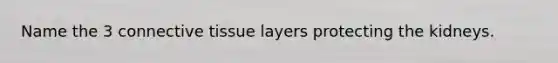 Name the 3 connective tissue layers protecting the kidneys.