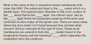 What is the name of the 3 connective tissue membranes that cover the CNS? The outermost layer is the ____ mater which is a double layer. The superior layer attaches to the inner surface of the ____ which forms the _____ layer. The inferior layer, aka as the ______ layer forms the outermost covering of the brain and continues as dura mater of the spinal cord. There are some areas where the dura mater isn't fused because they enclose what sinuses? Give an example of this type of sinus. These dural membranes can extend to form the ____ cerebri found in the longitudinal fissure and the tentorium _____ which separates the cerebellum form the cerebrum.