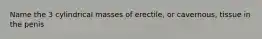 Name the 3 cylindrical masses of erectile, or cavernous, tissue in the penis