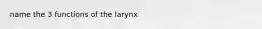 name the 3 functions of the larynx