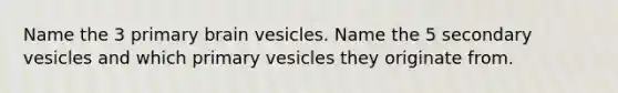 Name the 3 primary brain vesicles. Name the 5 secondary vesicles and which primary vesicles they originate from.