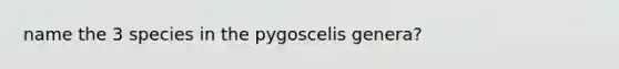 name the 3 species in the pygoscelis genera?