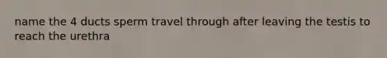 name the 4 ducts sperm travel through after leaving the testis to reach the urethra
