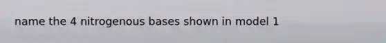 name the 4 nitrogenous bases shown in model 1