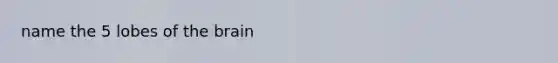 name the 5 lobes of the brain