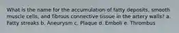 What is the name for the accumulation of fatty deposits, smooth muscle cells, and fibrous connective tissue in the artery walls? a. Fatty streaks b. Aneurysm c. Plaque d. Emboli e. Thrombus