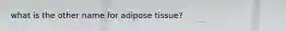 what is the other name for adipose tissue?