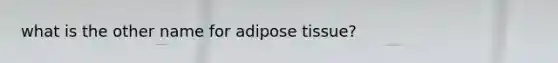 what is the other name for adipose tissue?