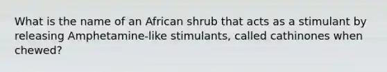 What is the name of an African shrub that acts as a stimulant by releasing Amphetamine-like stimulants, called cathinones when chewed?