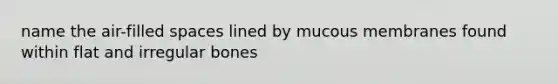 name the air-filled spaces lined by mucous membranes found within flat and irregular bones