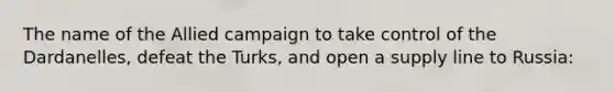 The name of the Allied campaign to take control of the Dardanelles, defeat the Turks, and open a supply line to Russia: