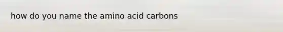 how do you name the amino acid carbons