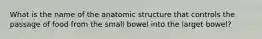 What is the name of the anatomic structure that controls the passage of food from the small bowel into the larget bowel?