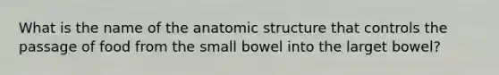 What is the name of the anatomic structure that controls the passage of food from the small bowel into the larget bowel?