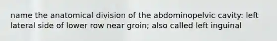 name the anatomical division of the abdominopelvic cavity: left lateral side of lower row near groin; also called left inguinal