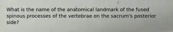 What is the name of the anatomical landmark of the fused spinous processes of the vertebrae on the sacrum's posterior side?