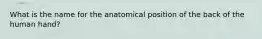 What is the name for the anatomical position of the back of the human hand?