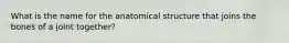 What is the name for the anatomical structure that joins the bones of a joint together?