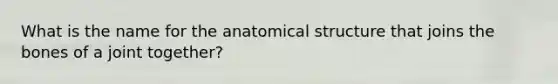 What is the name for the anatomical structure that joins the bones of a joint together?