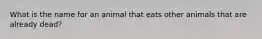 What is the name for an animal that eats other animals that are already dead?