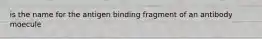 is the name for the antigen binding fragment of an antibody moecule