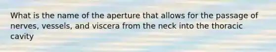 What is the name of the aperture that allows for the passage of nerves, vessels, and viscera from the neck into the thoracic cavity