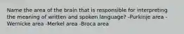 Name the area of the brain that is responsible for interpreting the meaning of written and spoken language? -Purkinje area -Wernicke area -Merkel area -Broca area