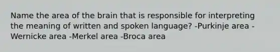 Name the area of the brain that is responsible for interpreting the meaning of written and spoken language? -Purkinje area -Wernicke area -Merkel area -Broca area