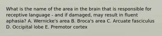 What is the name of the area in the brain that is responsible for receptive language - and if damaged, may result in fluent aphasia? A. Wernicke's area B. Broca's area C. Arcuate fasciculus D. Occipital lobe E. Premotor cortex