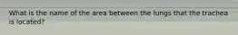 What is the name of the area between the lungs that the trachea is located?