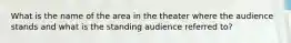 What is the name of the area in the theater where the audience stands and what is the standing audience referred to?