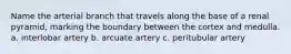 Name the arterial branch that travels along the base of a renal pyramid, marking the boundary between the cortex and medulla. a. interlobar artery b. arcuate artery c. peritubular artery
