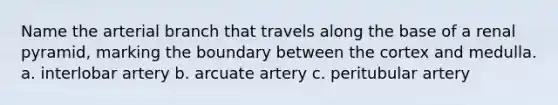 Name the arterial branch that travels along the base of a renal pyramid, marking the boundary between the cortex and medulla. a. interlobar artery b. arcuate artery c. peritubular artery