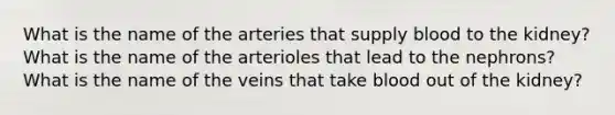 What is the name of the arteries that supply blood to the kidney? What is the name of the arterioles that lead to the nephrons? What is the name of the veins that take blood out of the kidney?