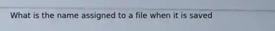 What is the name assigned to a file when it is saved