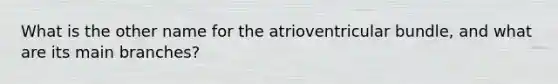 What is the other name for the atrioventricular bundle, and what are its main branches?