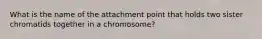 What is the name of the attachment point that holds two sister chromatids together in a chromosome?