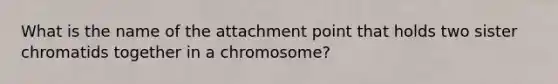 What is the name of the attachment point that holds two sister chromatids together in a chromosome?