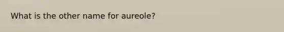 What is the other name for aureole?